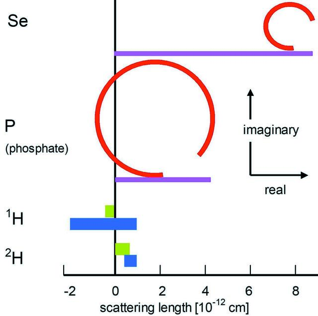 [Figure 1]