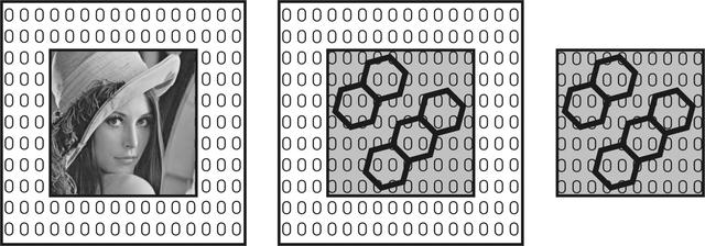 [Figure 1]