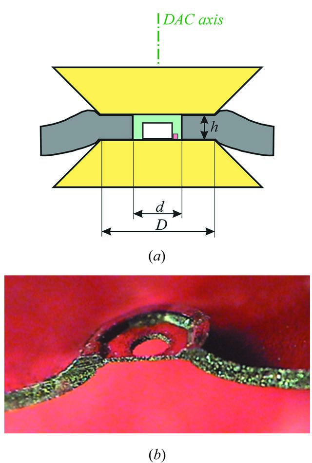 [Figure 8]