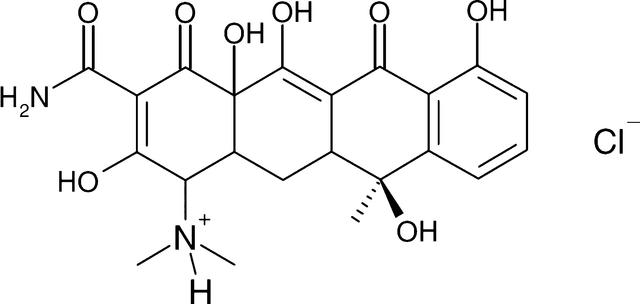 [Figure 1]