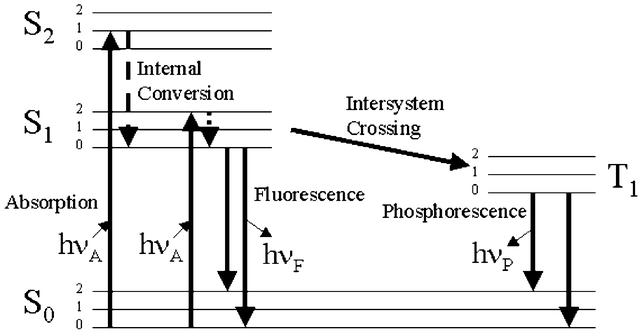 [Figure 3]