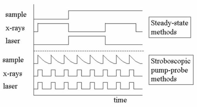 [Figure 4]