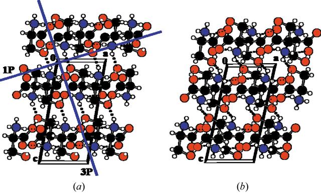 [Figure 5]