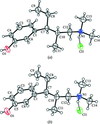 [Figure 4]