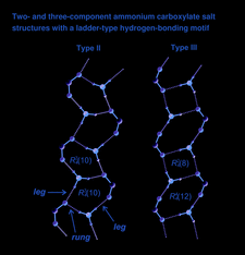 Highlighted illustration