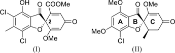 [Scheme 1]