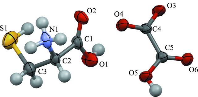 [Figure 1]