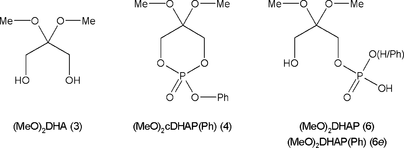 [Scheme 2]