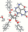 [Figure 1]