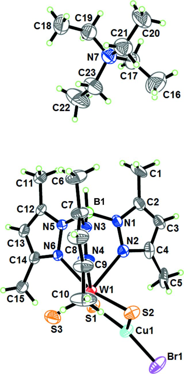 [Figure 1]