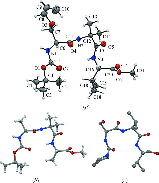 [Figure 1]