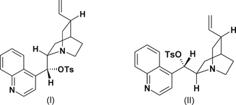 [Scheme 1]