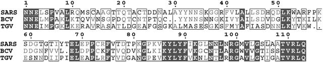 [Figure 1]