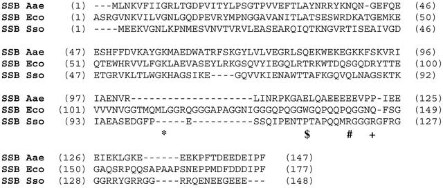 [Figure 1]