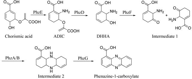 [Figure 1]