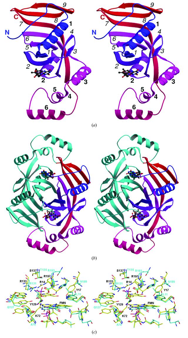 [Figure 2]