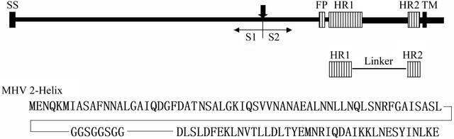 [Figure 1]