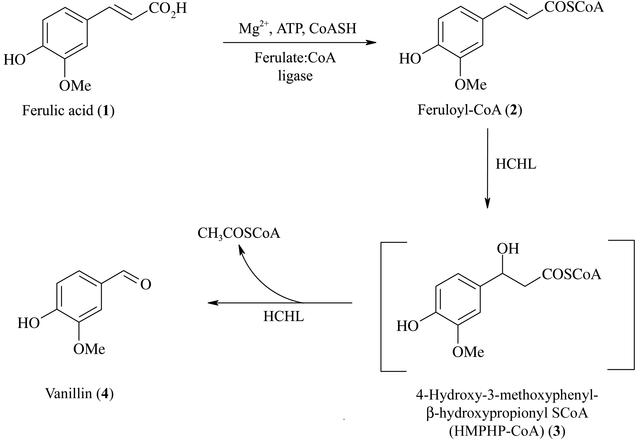 [Figure 1]