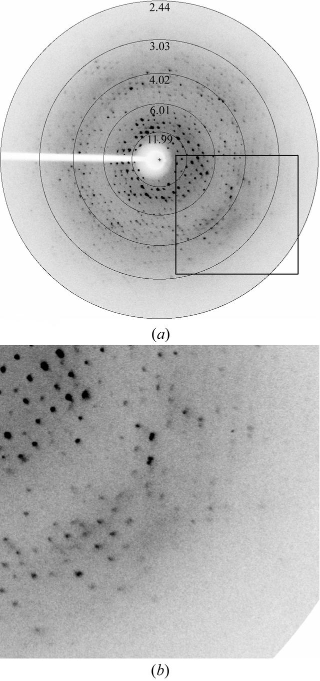 [Figure 2]