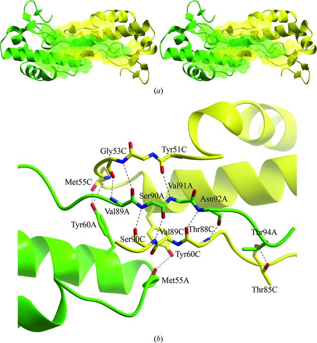 [Figure 4]