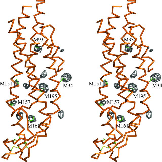 [Figure 4]