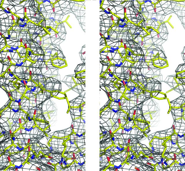 [Figure 5]