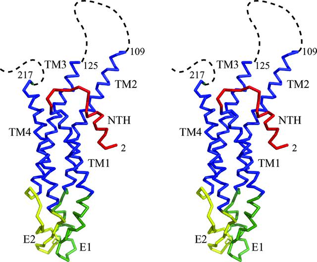 [Figure 7]