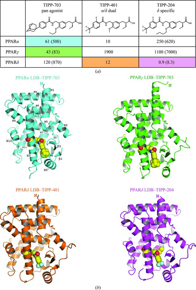 [Figure 1]