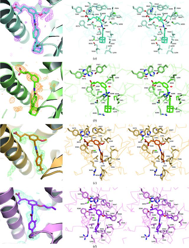 [Figure 2]