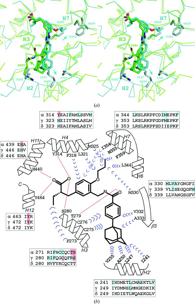 [Figure 3]