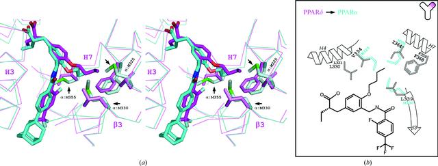 [Figure 4]