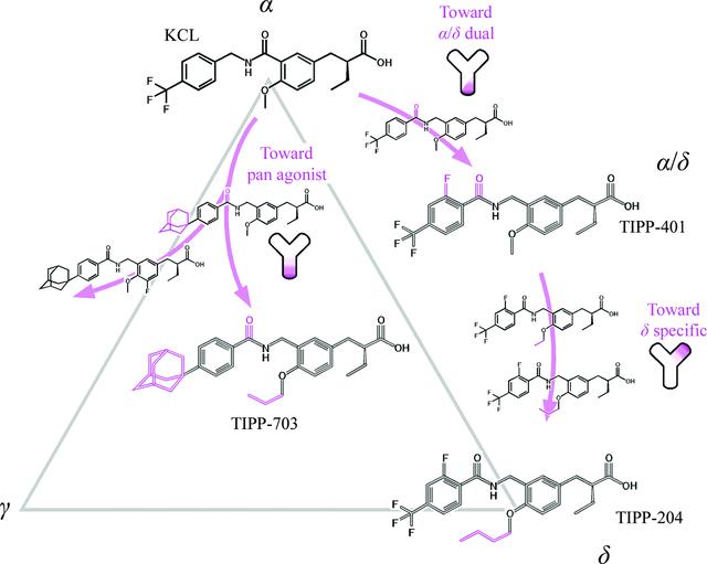 [Figure 5]