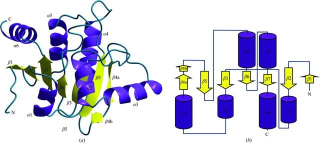 [Figure 1]