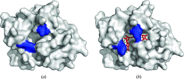 [Figure 5]