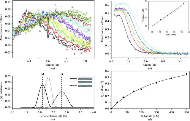 [Figure 1]