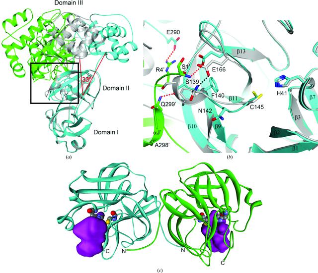 [Figure 3]