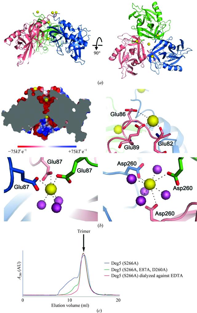 [Figure 1]