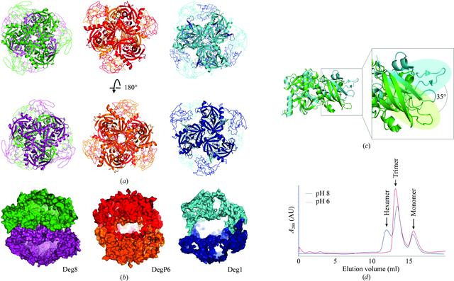 [Figure 3]