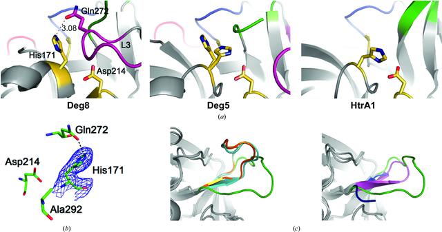 [Figure 4]