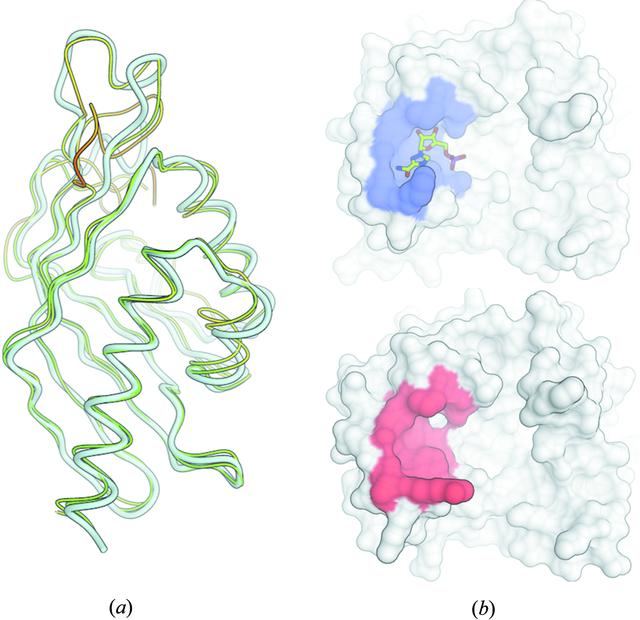 [Figure 3]