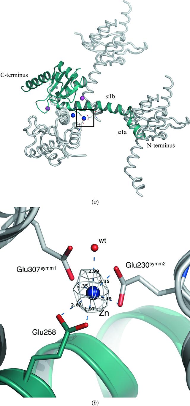 [Figure 1]