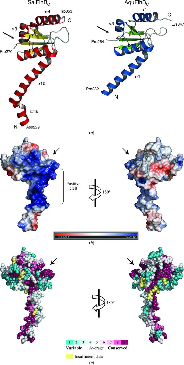 [Figure 2]