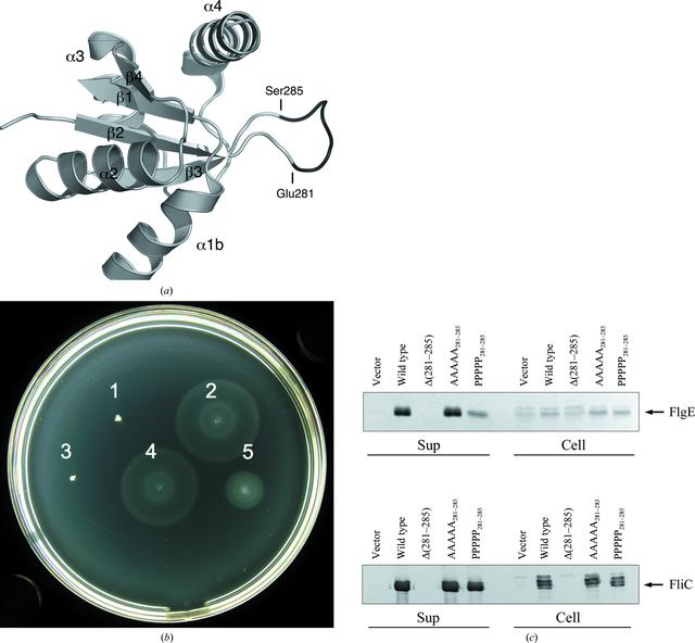 [Figure 4]