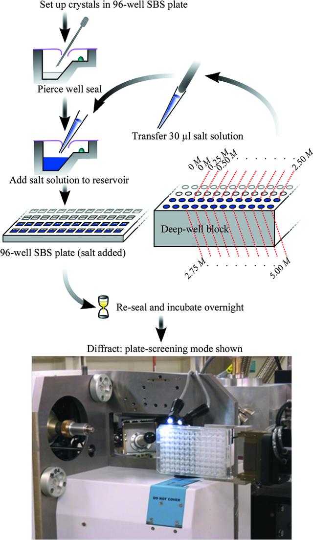 [Figure 1]