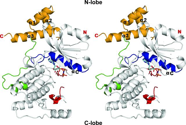 [Figure 1]