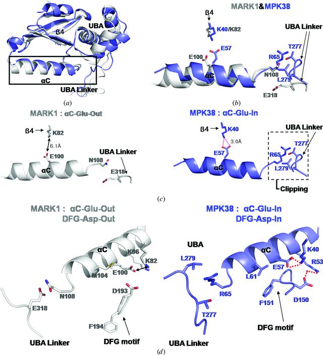 [Figure 3]