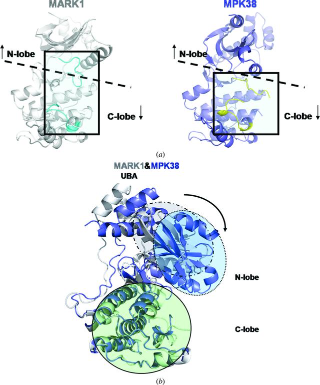 [Figure 4]