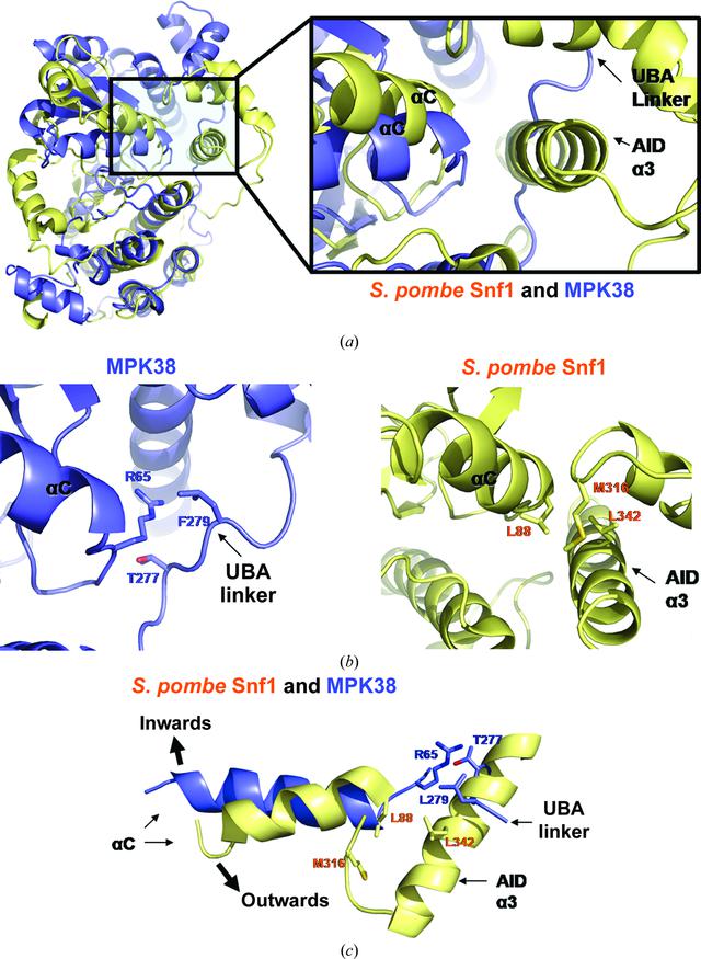 [Figure 5]