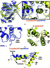 [Figure 5]