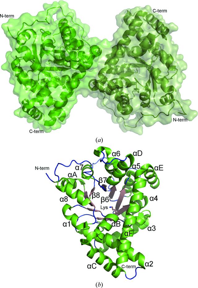 [Figure 4]